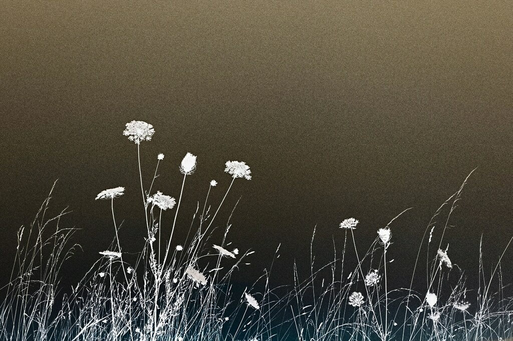 Art | Kaufen sie online außergewöhnliche Fotografien auf Leinwand Acrylglas Fotoprint Aludibond von holgerweigeltfotografie - Realisiert mit Pictrs.com