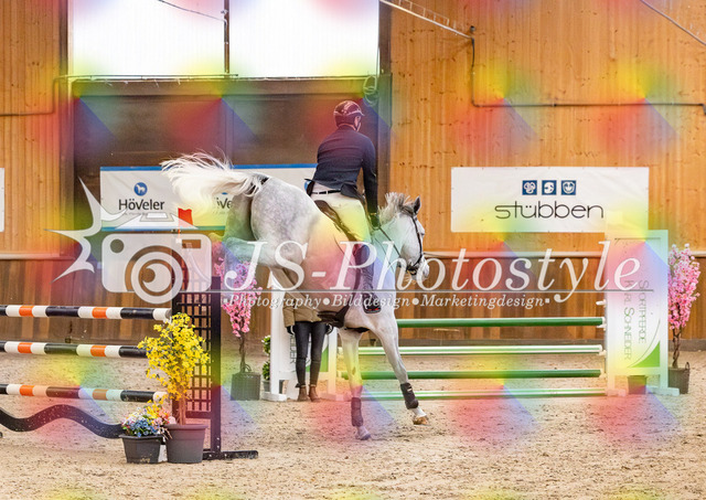 20260221_03_Springpferdeprfg KlL115-195 | JS-Photostyle - Sport-/Portrait- & Eventfotografie