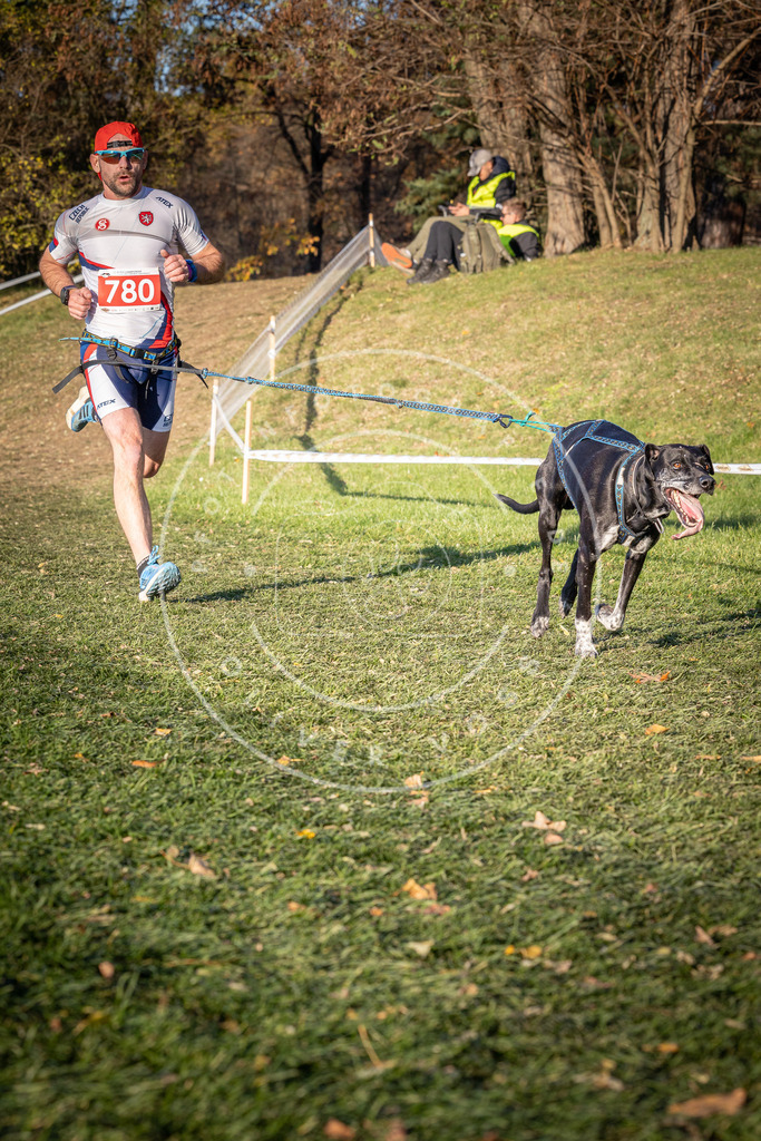 CaniXpix_0L8A0176 | Hundefotografie, Tierfotograf, Pfotenfotografie, Fotoshooting Hund, Hunde Portrait, Hundesport, Hundeportraits, Heideshooting, Hunde, Sportfotograf, Hundefotograf, Turnierhundsport, THS,  - Realisiert mit Pictrs.com
