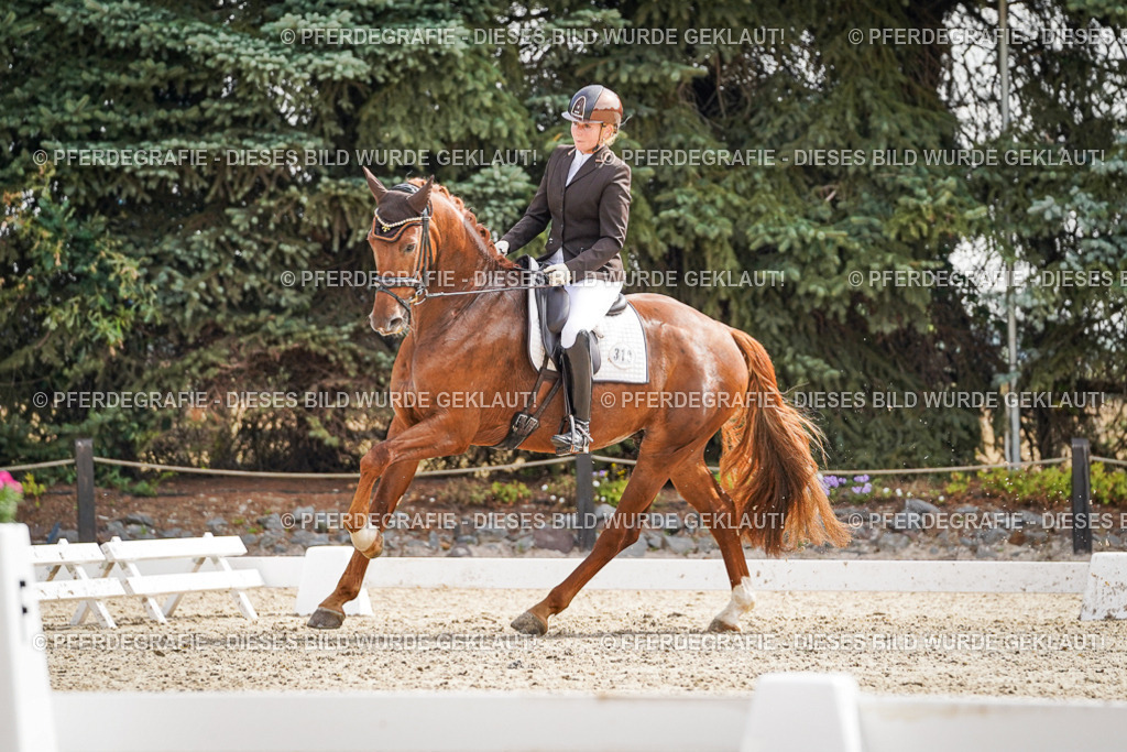 DSC07347 | Pferdegrafie