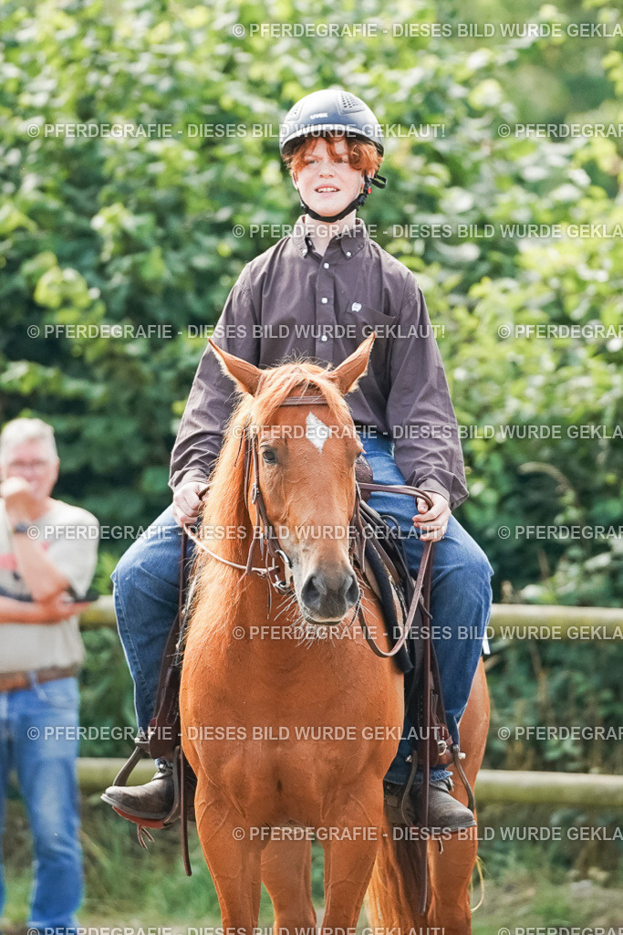 DSC04784 | Pferdegrafie