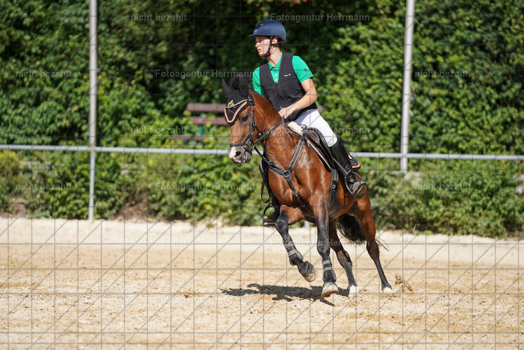 20240824-FAH08412 | Thierhaupten 2024, Bayerisches Landesponyturnier, Turnierbilder, Ponybilder, Turnierfotografen Bayern, Fotoagentur Herrmann