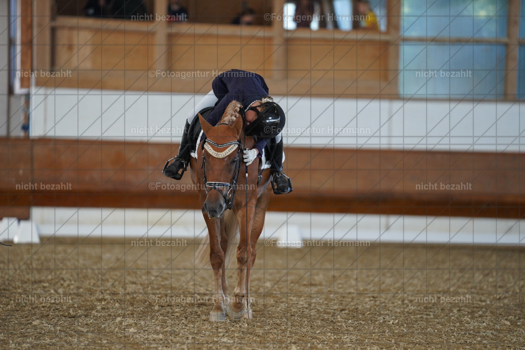 20240824-FAH07179 | Thierhaupten 2024, Bayerisches Landesponyturnier, Turnierbilder, Ponybilder, Turnierfotografen Bayern, Fotoagentur Herrmann