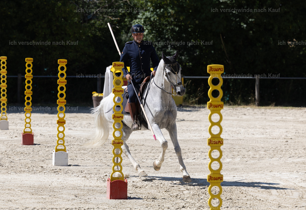 WS_Stil_49_KerstinBernhardt-6 | working equitationturnier fotograf videograf stoibphotography marixx film working equitation deutschland reitsport turnierfotografie eventfotografie equestrian events
