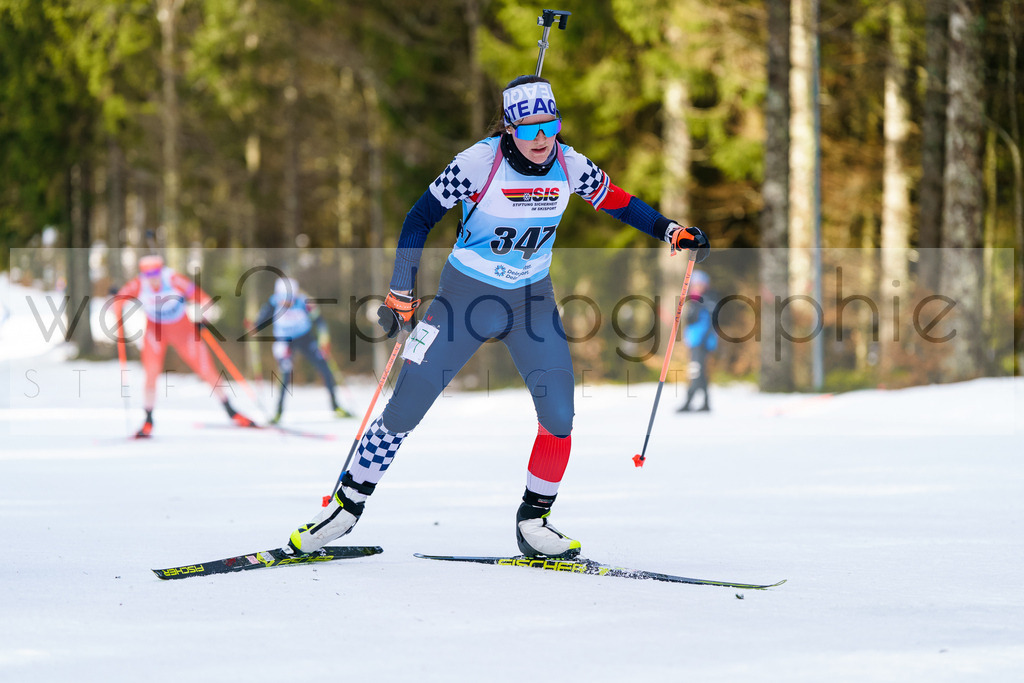 FESA Alpencup / DP Notschrei | Deutschland Pokal Finale im Schwarzwald NORDIC-CENTER Notschrei am 7. - 8. Februar 2026