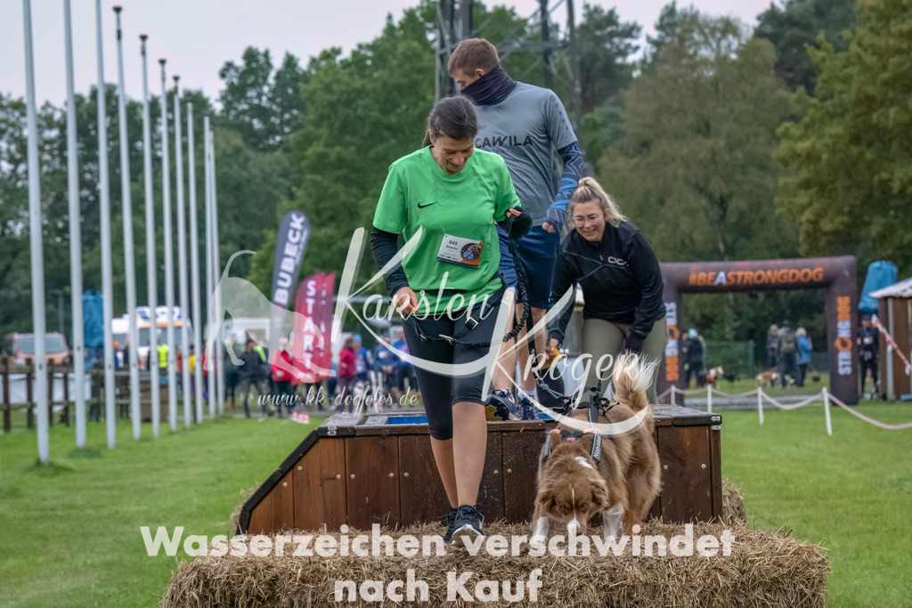 1212--18 | kk-dogfotos