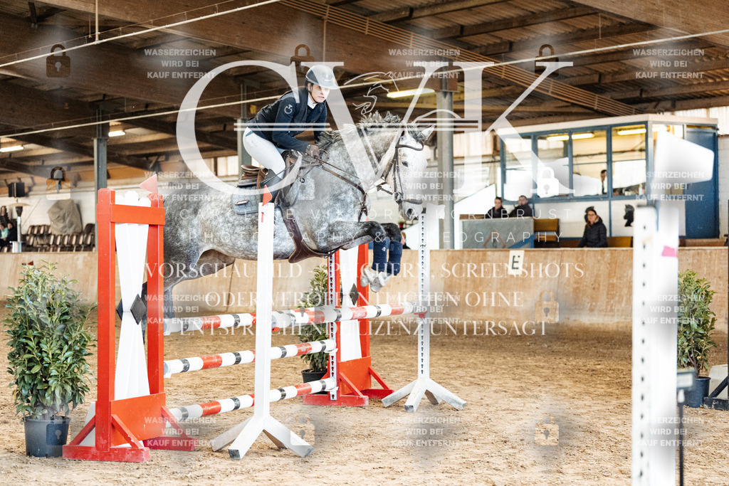 CK904893 | Turnierfotografie Pferdefotografie Trier Rheinland-Pfalz Pferdesport Reitsport Tierfotografie Sportfotografie Pferdevideo Pferdevideografie Equestrianvideography equestrianphotography  - Realized with Pictrs.com