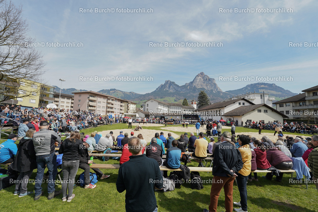DSC09776 | René Burch leidenschaftlicher Fotograf aus Kerns in Obwalden.  Hier finden sie Sport, Landschaft und Natur Fotografie.
 - Realisiert mit Pictrs.com
