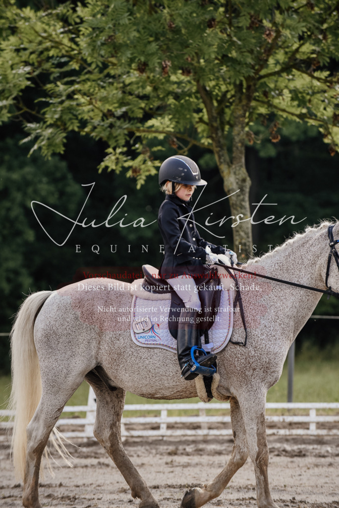 DSC_8403 | Pferde- und Turnierfotografie in Westsachsen. Pferdeportraits, Auftragszeichnungen und intuitive Kunst.