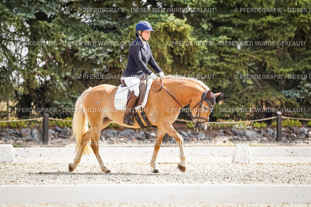 DSC09524 | Pferdegrafie