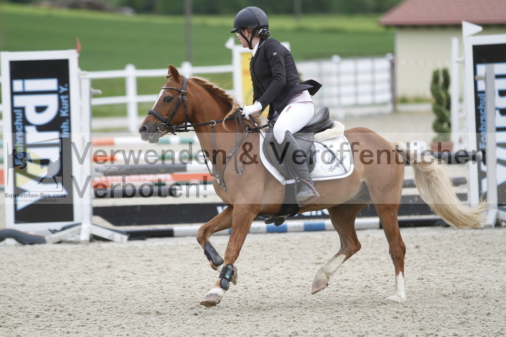 _MG_0600 | equestrian-live-com