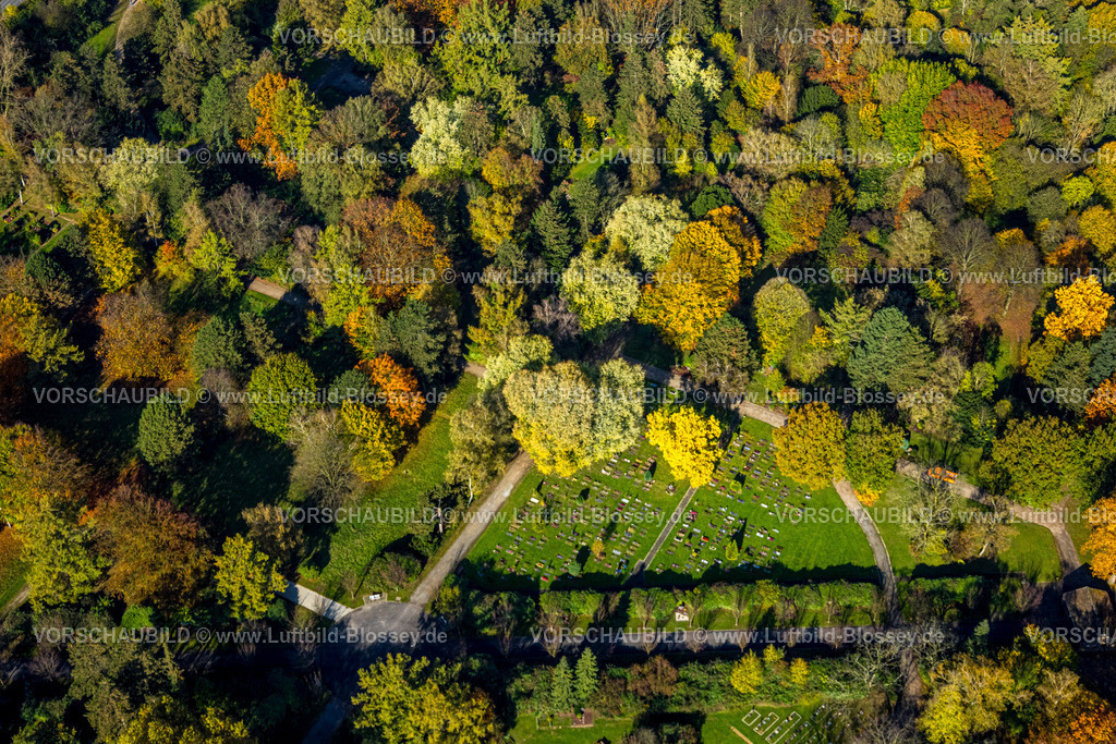Bochum241016607 | Luftbild, Zentralfriedhof Gräberfeld und herbstliche Bäume, Altenbochum, Bochum, Ruhrgebiet, Nordrhein-Westfalen, Deutschland