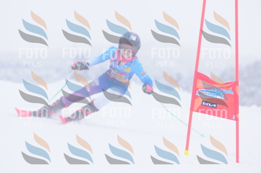 C2779 | holidayphoto