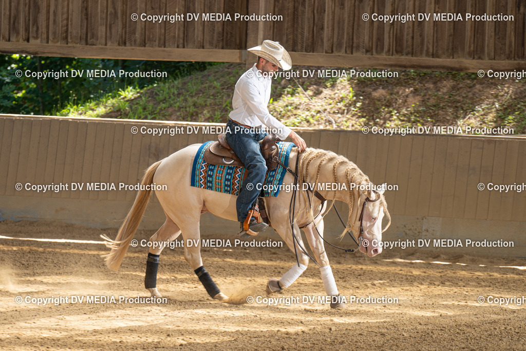 DSC00150 | dv-media-shop - Realisiert mit Pictrs.com