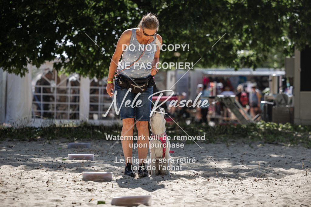 nelerasche_saBeachility_536 | nelerasche