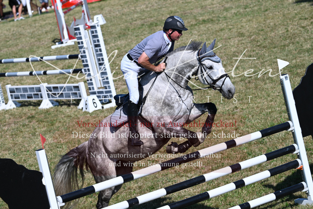 DSC_1967 | Pferde- und Turnierfotografie in Westsachsen. Pferdeportraits, Auftragszeichnungen und intuitive Kunst.