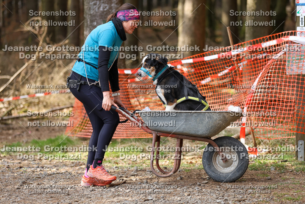 Dog Paparazzi - VCC26-628 | Dog Paparazzi Jeanette Grottendiek Fotografie & Videografie - Realisiert mit Pictrs.com