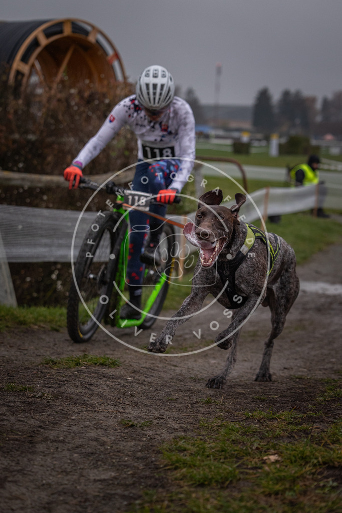 CaniXpix_0L8A0453 | Hundefotografie, Tierfotograf, Pfotenfotografie, Fotoshooting Hund, Hunde Portrait, Hundesport, Hundeportraits, Heideshooting, Hunde, Sportfotograf, Hundefotograf, Turnierhundsport, THS,  - Realisiert mit Pictrs.com
