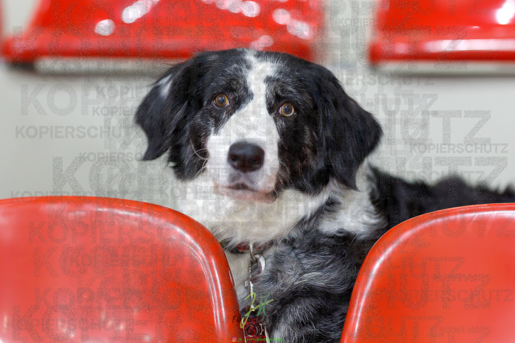 Frauen Regionalliga (HHV); HSG Wettenberg - HSG Twistetal | Frauen Regionalliga (HHV); HSG Wettenberg - HSG Twistetal am 08.11.2025 in Launsbach (Wettenberg) (Halle GS Launsbach (Wettenberg))Photo © 2025 - Jörg Heinrich - Realisiert mit Pictrs.com