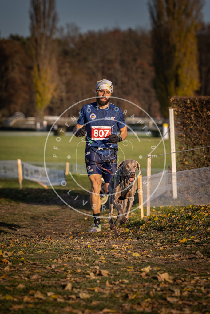 CaniXpix_DV3A2966 | Hundefotografie, Tierfotograf, Pfotenfotografie, Fotoshooting Hund, Hunde Portrait, Hundesport, Hundeportraits, Heideshooting, Hunde, Sportfotograf, Hundefotograf, Turnierhundsport, THS,  - Realisiert mit Pictrs.com