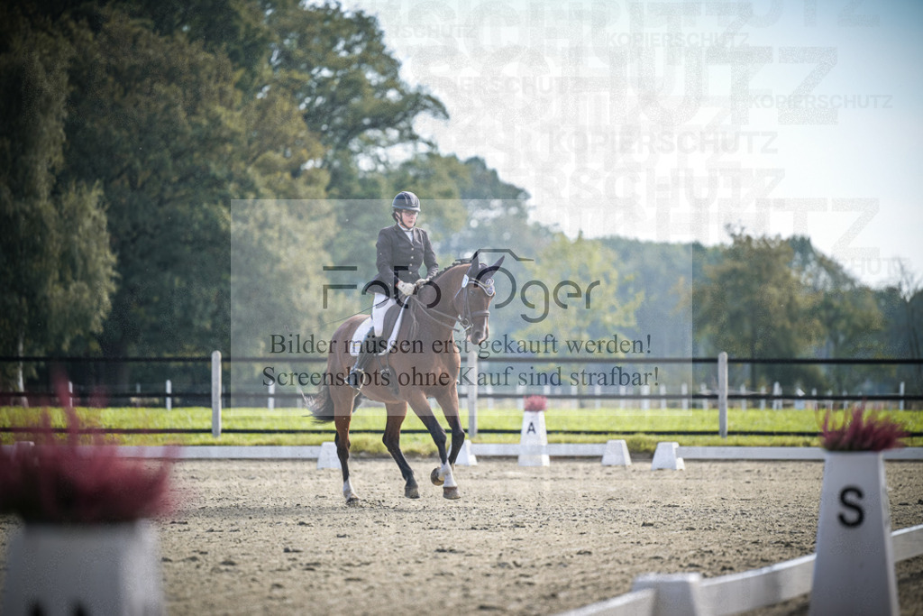 DOS_1051 | Entdecke hochwertige Reitturnierfotos von Foto Oger. Professionell, emotional und authentisch – jetzt Lieblingsmomente im Shop bestellen.Deutschlandweite Turnierfotografie. - Realisiert mit Pictrs.com