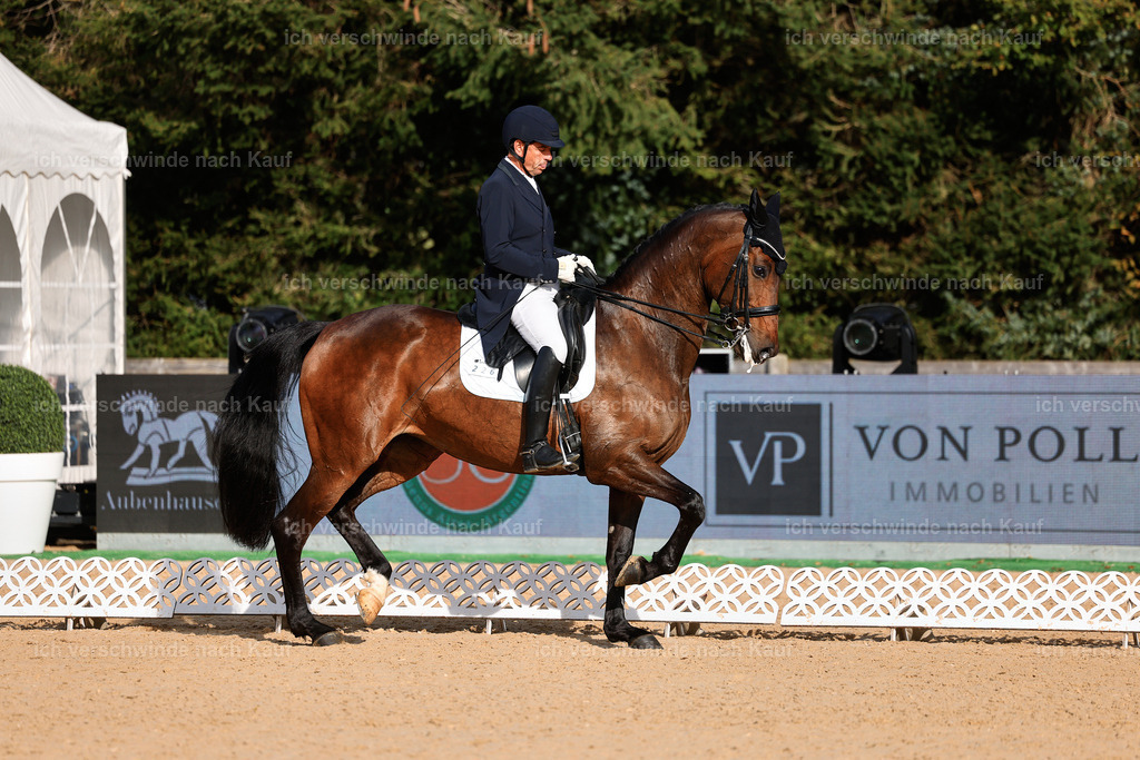 13-226-S___ -StoibPH-6911 | working equitationturnier fotograf videograf stoibphotography marixx film working equitation deutschland reitsport turnierfotografie eventfotografie equestrian events
