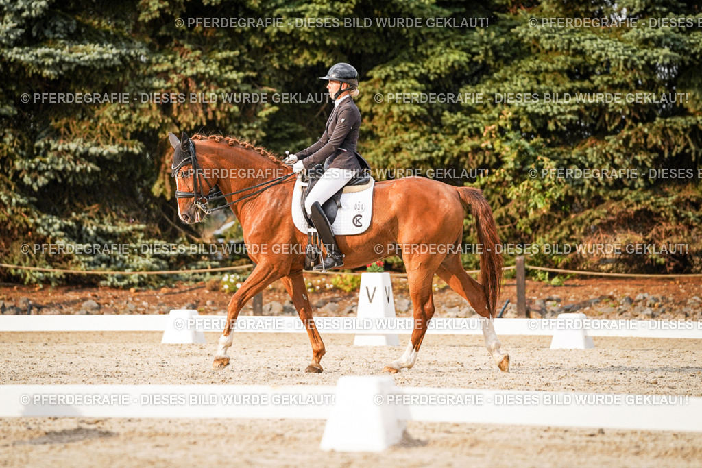 DSC09347 | Pferdegrafie