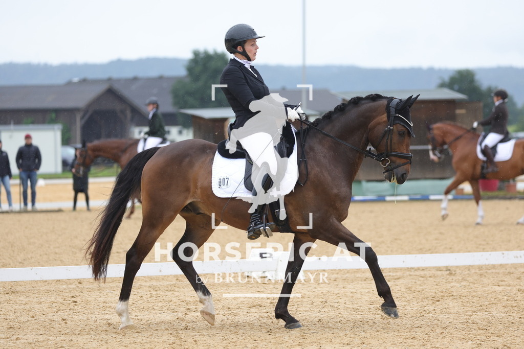 0P6A0534 | Willkommen bei Brunnmayr - Design & Fotografie – Ihrem Spezialisten für Reitturniere und Pferdeveranstaltungen in Oberösterreich, Salzburg und Bayern! Seit über 17 Jahren sind wir leidenschaftlich dabei.