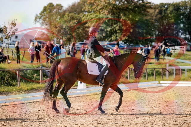 2026_10_03_Siefer-Hof_130436_Z63_67348934 | Professionelle Reitsport-, Turnier- und Eventfotografie von Robert Broda. Galerien mit ausgewählten und bearbeiteten Bildern direkt online ansehen und bestellen.