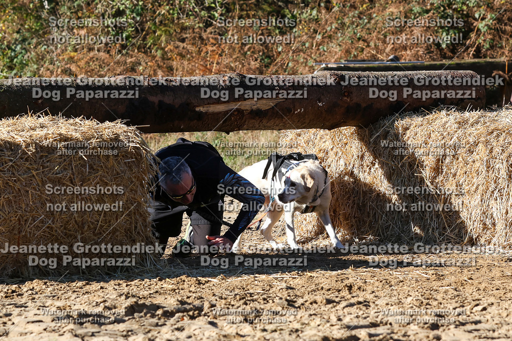 Dog Paparazzi - Strongdog 10-25-2431 | Dog Paparazzi Jeanette Grottendiek Fotografie & Videografie - Realisiert mit Pictrs.com