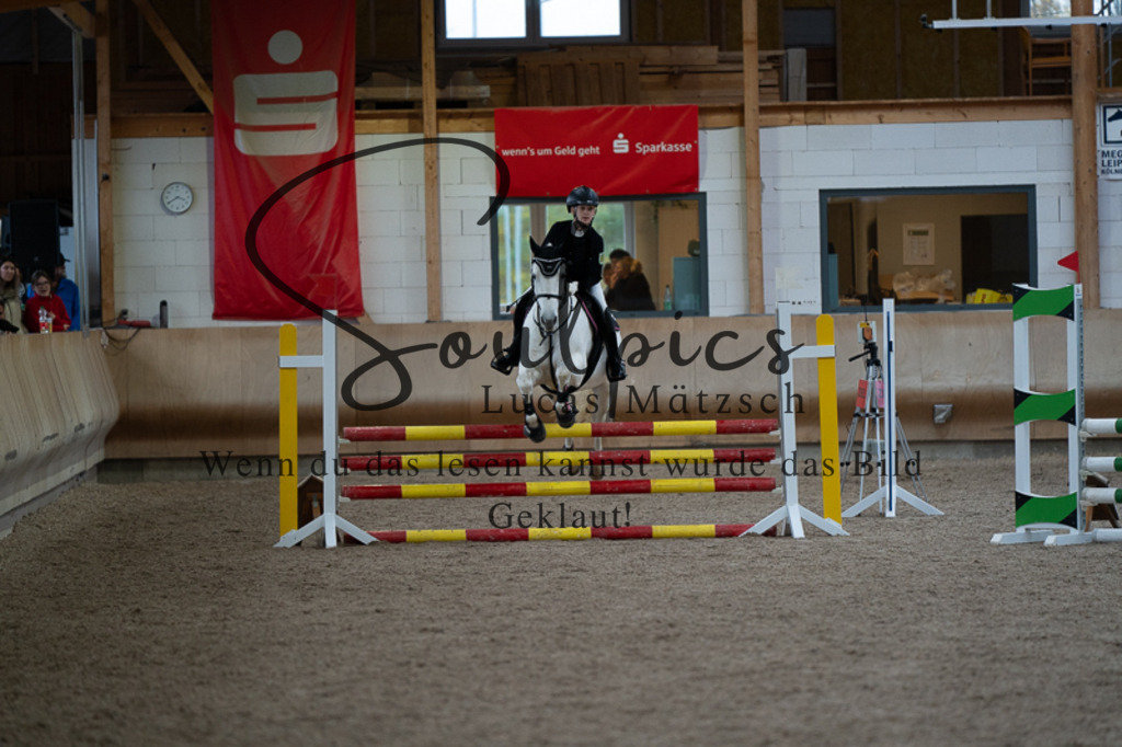 A7V03097 | Pferdefotograf