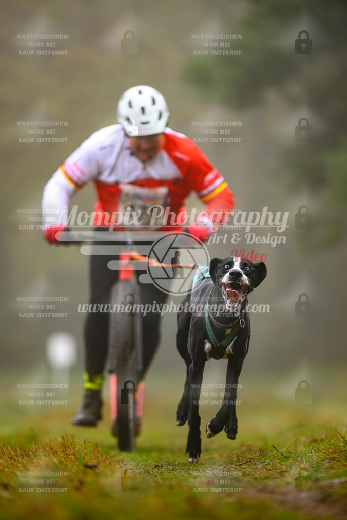 MompixPhotography_Bischwiller2025_Scooter-26 | mompixphotography