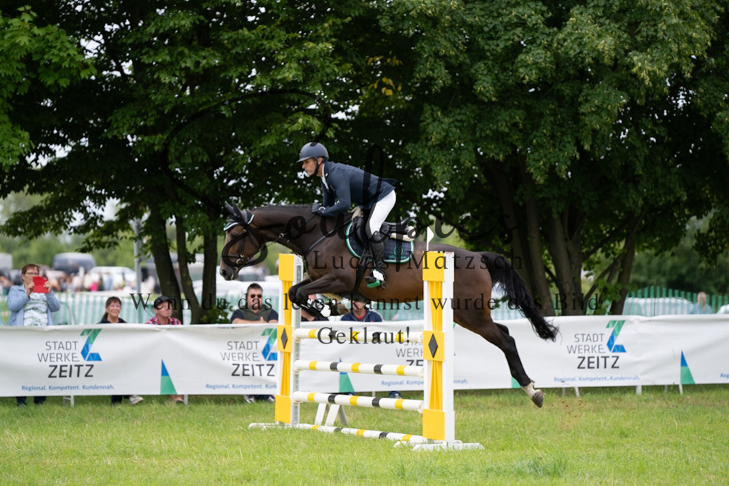 A7V03935 | Pferdefotograf