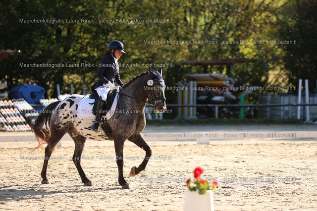 HG9A8211 | laurarinckfotografie - Realisiert mit Pictrs.com