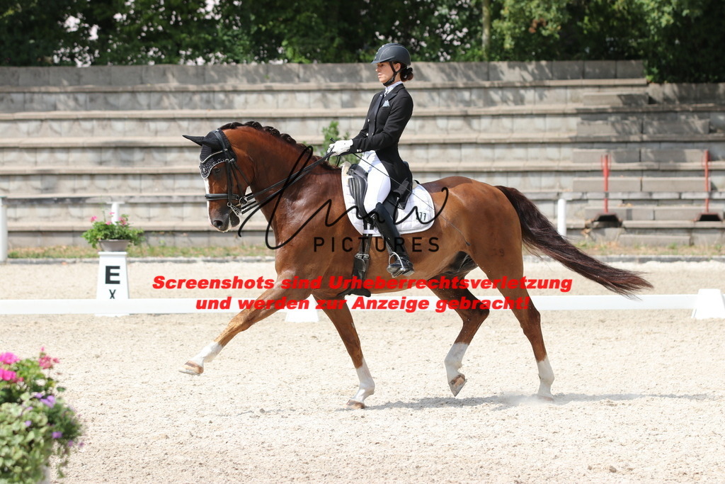 IMG_7090 | lmwpictures - Realisiert mit Pictrs.com