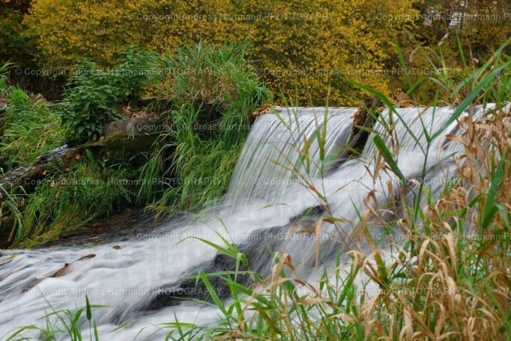 Elsterwehr Neumühle | Elsterwehr Neumühle - Realisiert mit Pictrs.com