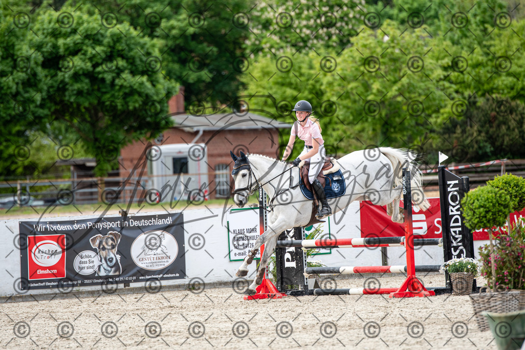 KPT_7034 | andre_photographic