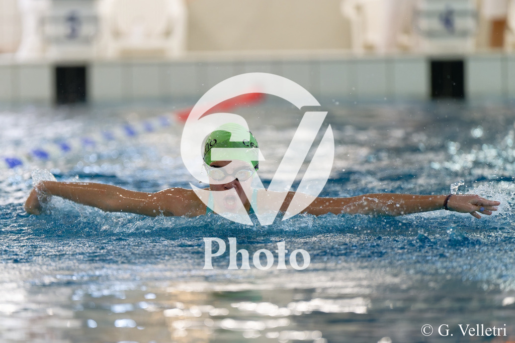 DSC_9549 | Velletri Photo