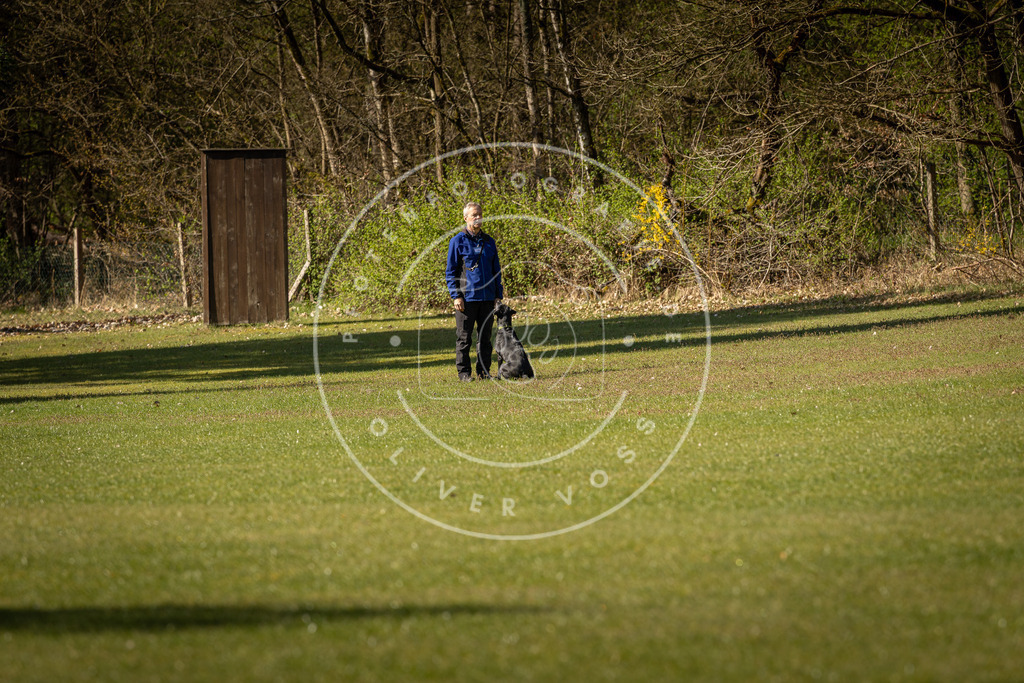 Pfotenfotografie_DV3A0375 | Hundefotografie, Tierfotograf, Pfotenfotografie, Fotoshooting Hund, Hunde Portrait, Hundesport, Hundeportraits, Heideshooting, Hunde, Sportfotograf, Hundefotograf, Turnierhundsport, THS,  - Realisiert mit Pictrs.com