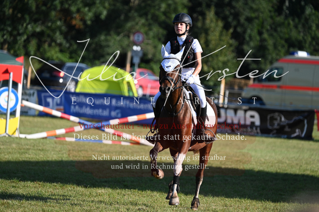 DSC_4776 | Pferde- und Turnierfotografie in Westsachsen. Pferdeportraits, Auftragszeichnungen und intuitive Kunst.