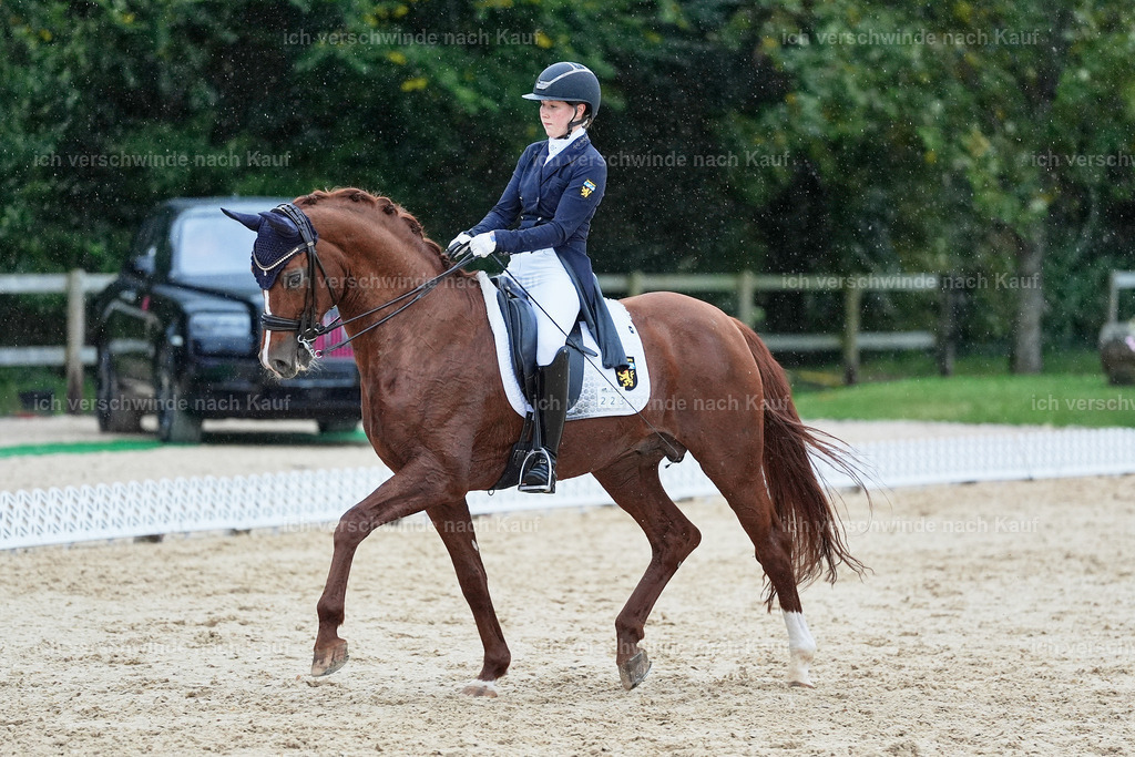 8_1-223-Klasse S_  -StoibPH-3949 | working equitationturnier fotograf videograf stoibphotography marixx film working equitation deutschland reitsport turnierfotografie eventfotografie equestrian events