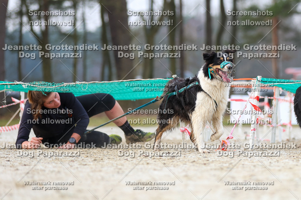 Dog Paparazzi - Strongdog North Mrz26-3714 | Dog Paparazzi Jeanette Grottendiek Fotografie & Videografie - Realisiert mit Pictrs.com