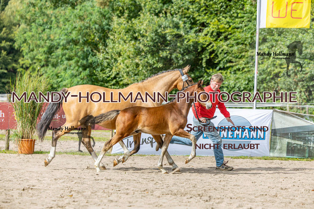 _MG_2166 | mandyhollmannphotographie