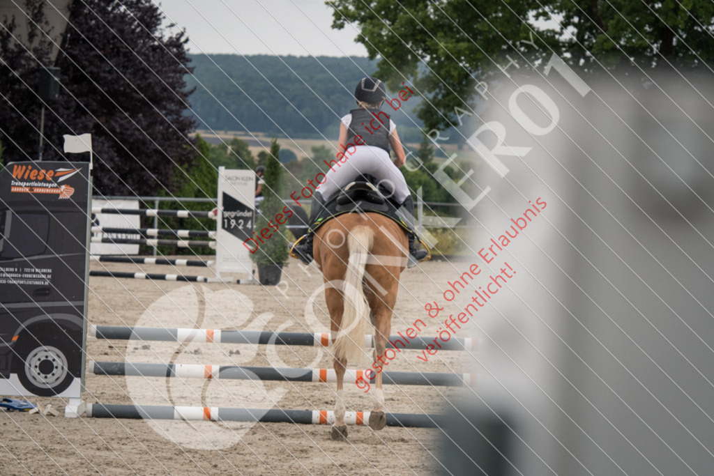 ND5_1765 | Sport-, Event- und Tierfotos in Profiqualität. Einfach auswählen, bestellen und herunterladen. Dein Moment – perfekt festgehalten.