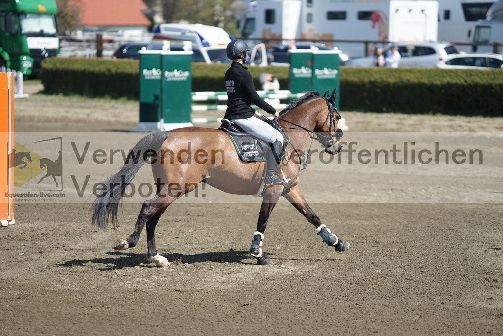 DSC02843 | equestrian-live-com