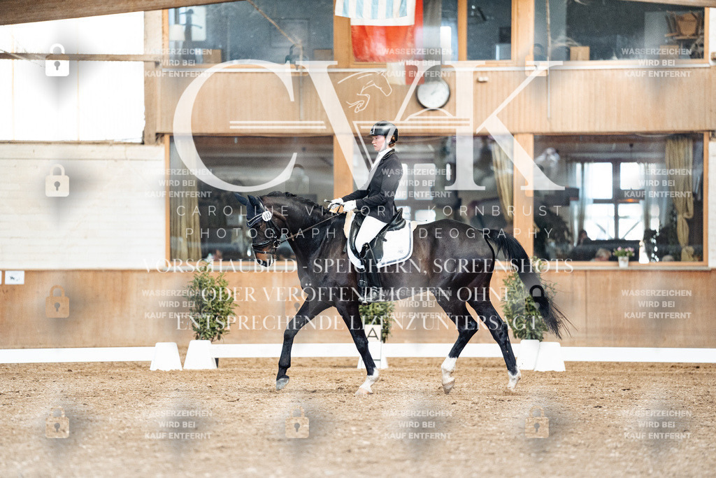 CK901163 | Turnierfotografie Pferdefotografie Trier Rheinland-Pfalz Pferdesport Reitsport Tierfotografie Sportfotografie Pferdevideo Pferdevideografie Equestrianvideography equestrianphotography  - Realisiert mit Pictrs.com