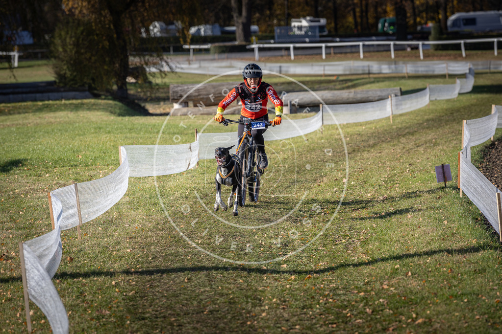 CaniXpix_DV3A4305 | Hundefotografie, Tierfotograf, Pfotenfotografie, Fotoshooting Hund, Hunde Portrait, Hundesport, Hundeportraits, Heideshooting, Hunde, Sportfotograf, Hundefotograf, Turnierhundsport, THS,  - Realisiert mit Pictrs.com