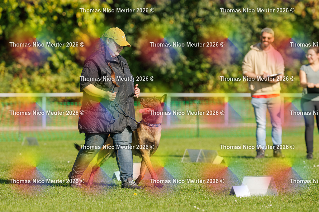 Thomas_Nico_Meuter(C)_04. Oktober 2026_223A1465 | Bild von Thomas Nico Meuter - Realisiert mit Pictrs.com