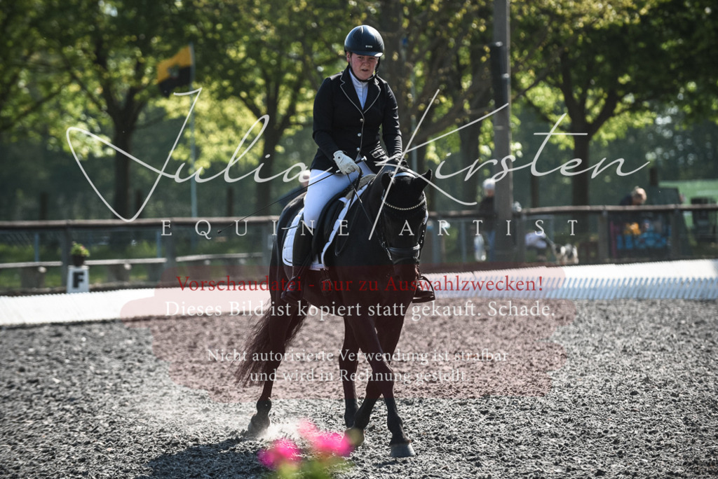 DSC_8815 | Pferde- und Turnierfotografie in Westsachsen. Pferdeportraits, Auftragszeichnungen und intuitive Kunst.