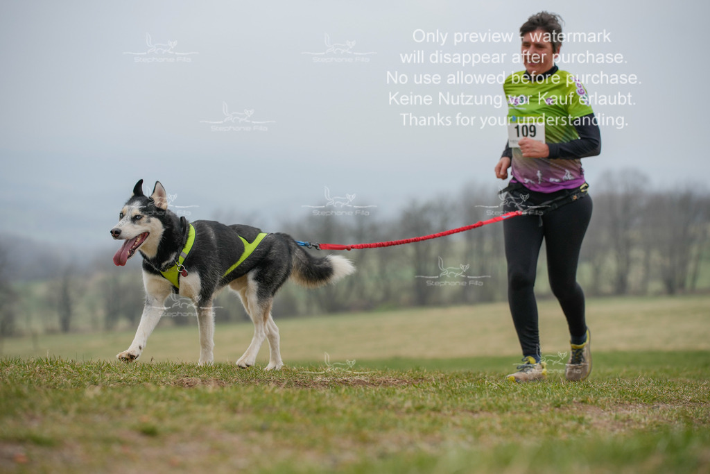 Canixlong-212 | stephaniefillaphotographie - Realisiert mit Pictrs.com